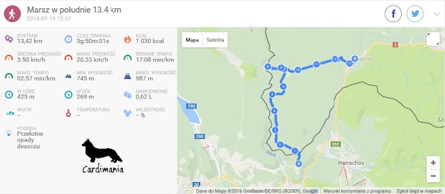 izery, góry, podróże z psem, z psem w podróży, wakacje z psem, z psem na wakacje, z psem na urlop, w góry z psem, izery z psem, karkonosze z psem, sudety z psem, cardimania, welsh corgi cardigan, cardigan, corgi, pies, psy, futra